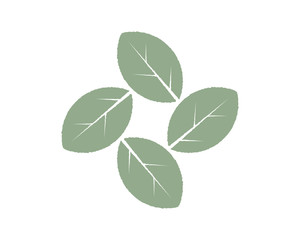 Wall Mural - star with circular green leaves