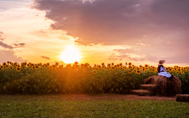 Sunflowers' field under sunset	