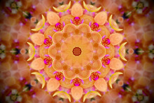 Floral Mandala In Shades Of Yellow, Orange, Pink, And Green