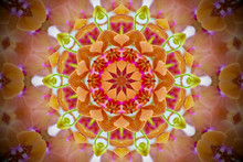 Floral Mandala In Shades Of Yellow, Orange, Pink, Red, And Green