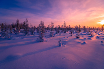 Wall Mural - Winter lanscape with sunset, trees and cliffs over the snow. Winter snowscape with forest, trees and snowy cliffs. Blue sky. Winter landscape.