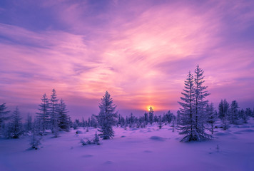 Winter lanscape with sunset, trees and cliffs over the snow. Winter snowscape with forest, trees and snowy cliffs. Blue sky. Winter landscape.