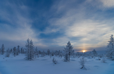 Wall Mural - Winter lanscape with sunset, trees and cliffs over the snow. Winter snowscape with forest, trees and snowy cliffs. Blue sky. Winter landscape.