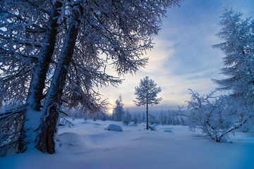 Wall Mural - Winter snowscape with forest, trees and snowy cliffs. Blue sky. Winter landscape.