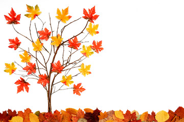 Wall Mural - tree with colorful leaf decoration, copy space