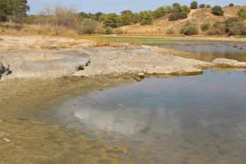 Poster - Swamp area with little water and dry trunks of small trees