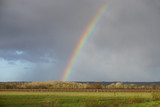 Fototapeta Tęcza - rainbow over the vineyards