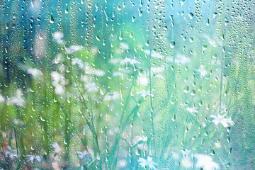 Wall Mural - summer rain wet glass / abstract background landscape on a rainy day outside the window blurred back