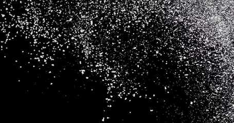 Wall Mural - white snowflakes falling slowly against an isolated black background.