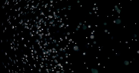 Wall Mural - shiny snowflakes dropping from the sky slowly. the video was shot while the snowflakes were on an is