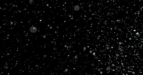 Wall Mural - snow storm at night. it shows the snowflakes falling from the sky against the black background