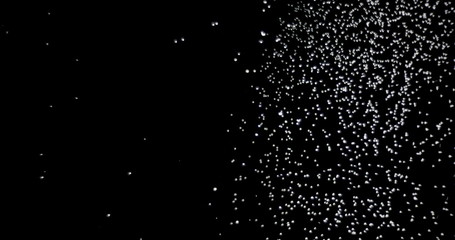 Wall Mural - several snow particles falling down over a black background