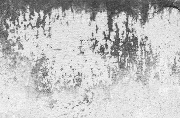  Abstract texture wall or concrete floor contaminated with fungi that look like Monochrom or vintage as a background image for the scene.