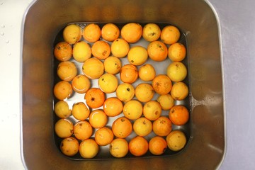 Fresh oranges under cool water