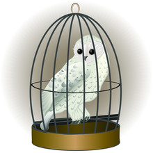 Magic White Owl In A Cage. Vector Illustration