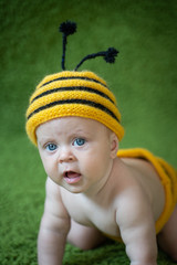 Wall Mural - baby six months old in a bee costume