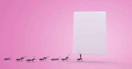Canvas Print - ants carrying a sheet of paper