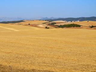 Poster - Beautiful shot of a golden valley with green mountains and blue sky on the background