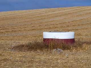 Canvas Print - Beautiful shot of a golden field and blue sky on the background