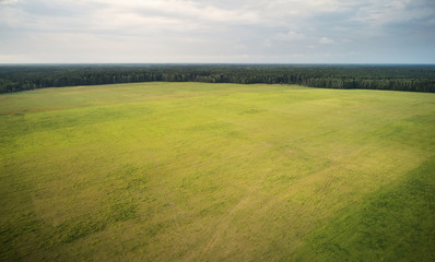 Wall Mural - Green grass pasture landscape