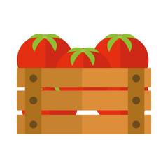 Sticker - agriculture and farming harvest fresh tomatoes in box flat icon style