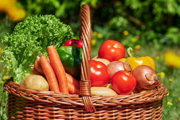 Wall Mural - Basket of various vegetables in the sunlight on a meadow with yellow flowers.