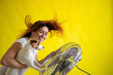 Caucasian Woman And A Dog Are Cooling Off By An Electric Fan