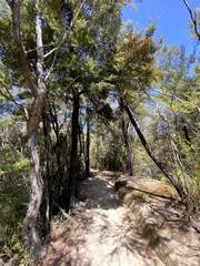 Poster - Sentier de randonnée du parc Abel Tasman, Nouvelle Zélande