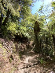 Sticker - Sentier de randonnée du parc Abel Tasman, Nouvelle Zélande