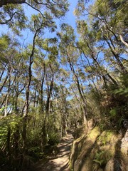 Sticker - Sentier de randonnée du parc Abel Tasman, Nouvelle Zélande