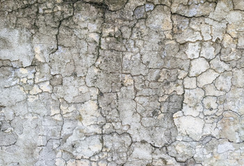 Wall Mural - Wall background made of cracks. The texture of gray, dirty, cracked concrete.