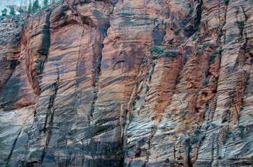 Wall Mural - Zion National Park 