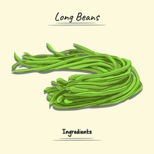 Green Long Beans Illustration, Ingredients For Cooking Some Food, Sketch & Vector Style Isolated On Yellow Background