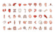 human body anatomy organs health liver eye brain mouth bone skull icons collection line and fill