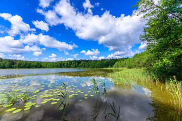 Wall Mural - beautiful summer day on masuria lake district in poland