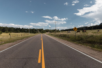 road in the countryside