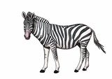 Fototapeta Zebra - zebra illustration isolated on white background