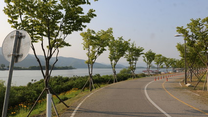 Wall Mural - road to the sea