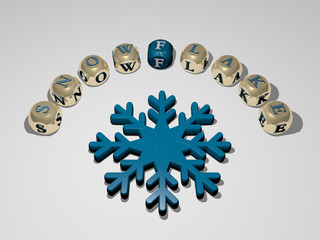 Poster - SNOWFLAKE 3D icon surrounded by the text of cubic letters, 3D illustration