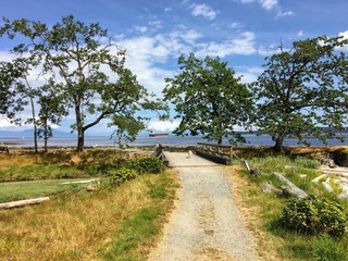 Wall Mural - A gravel walking path with a dog walking down with beautiful trees and the ocean in the background, and blue sky, on Newcastle Island, outside Nanaimo, British Columbia, Canada