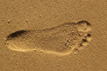 Wall Mural - Closeup of a footprint of a human on sand