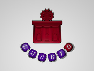 Fototapete - embryo text around the 3D icon, 3D illustration
