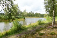 Small Lake In A Nature Area Called Nieuwe Leemputten, Near The Village Of Dorst In The Netherlands.