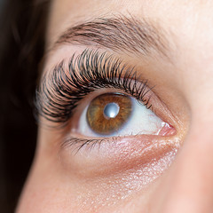 Eyes with Long Eyelashes. Eyelash Extension. Lashes.