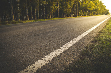 Poster - Asphalt road through the countryside on a sunny summer evening