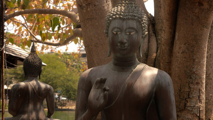 Sticker - Closeup shot of a statue of Buddha outdoors in Sri Lanka