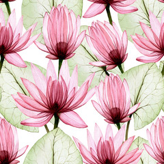 seamless watercolor pattern with transparent flowers and lotus leaves. pink transparent lotus, x-ray, on a white background. beautiful flower symbol of japan, china. design for fabric, wallpaper