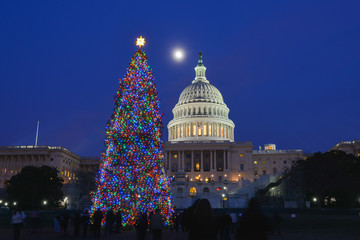 Traditional Christmas Tree and Capitol Building at night - Washington D.C. United States of America