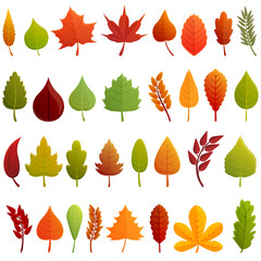 Poster - Autumn leaves icons set. Cartoon set of autumn leaves vector icons for web design