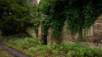 Poster - Shot of an old stone wall with ivy